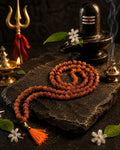 Panchmukhi Rudraksh mala for wearing